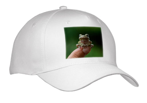 image of Adult Baseball Cap