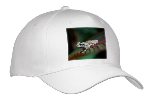 image of Adult Baseball Cap