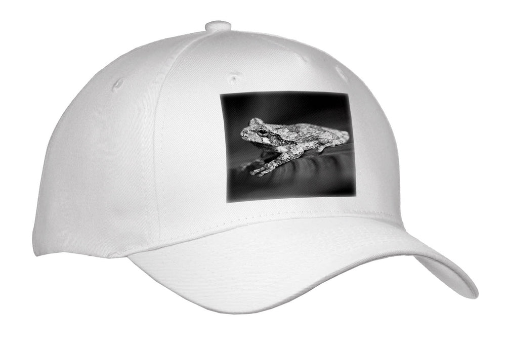 image of Youth Baseball Cap