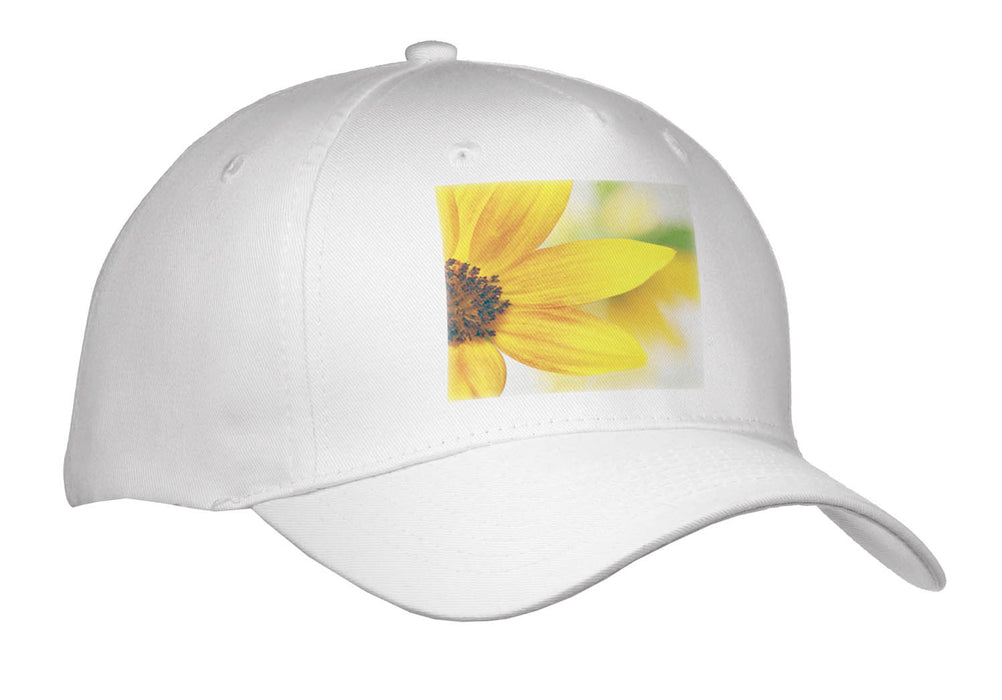 image of Adult Baseball Cap