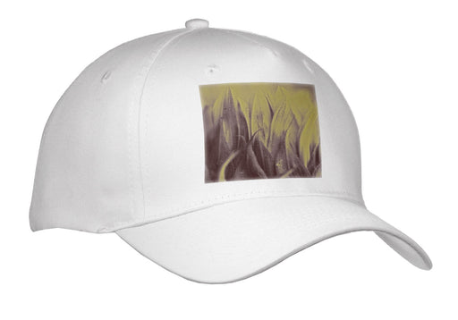 image of Adult Baseball Cap