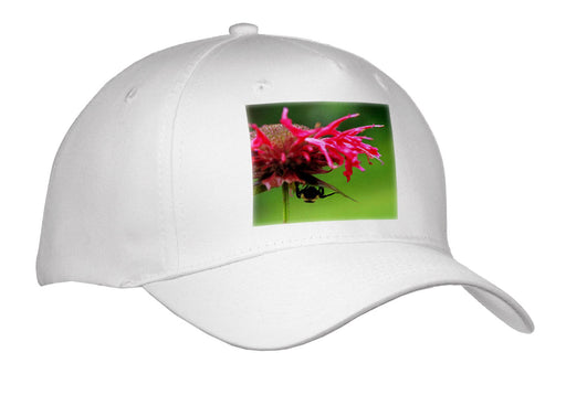 image of Adult Baseball Cap