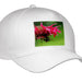 image of Youth Baseball Cap