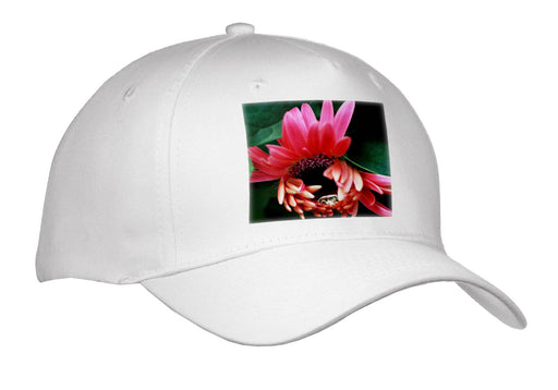 image of Adult Baseball Cap