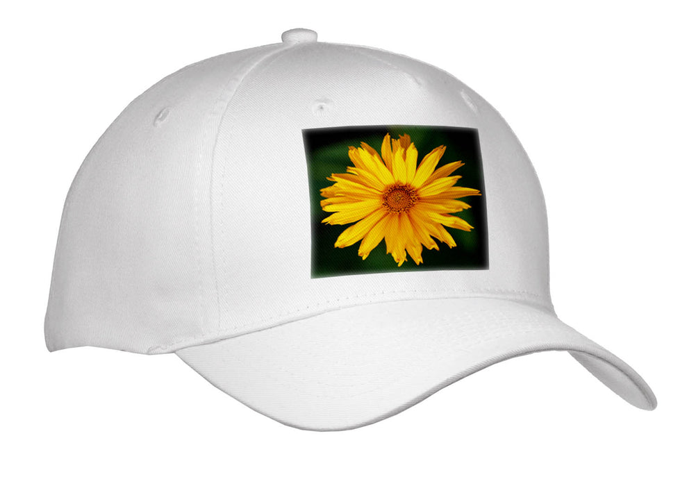 image of Youth Baseball Cap