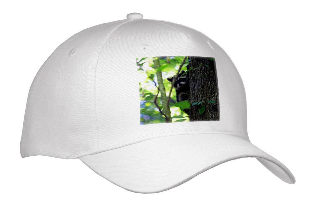 image of Youth Baseball Cap