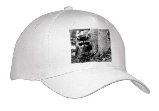 image of Adult Baseball Cap