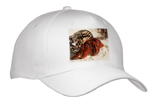 image of Adult Baseball Cap