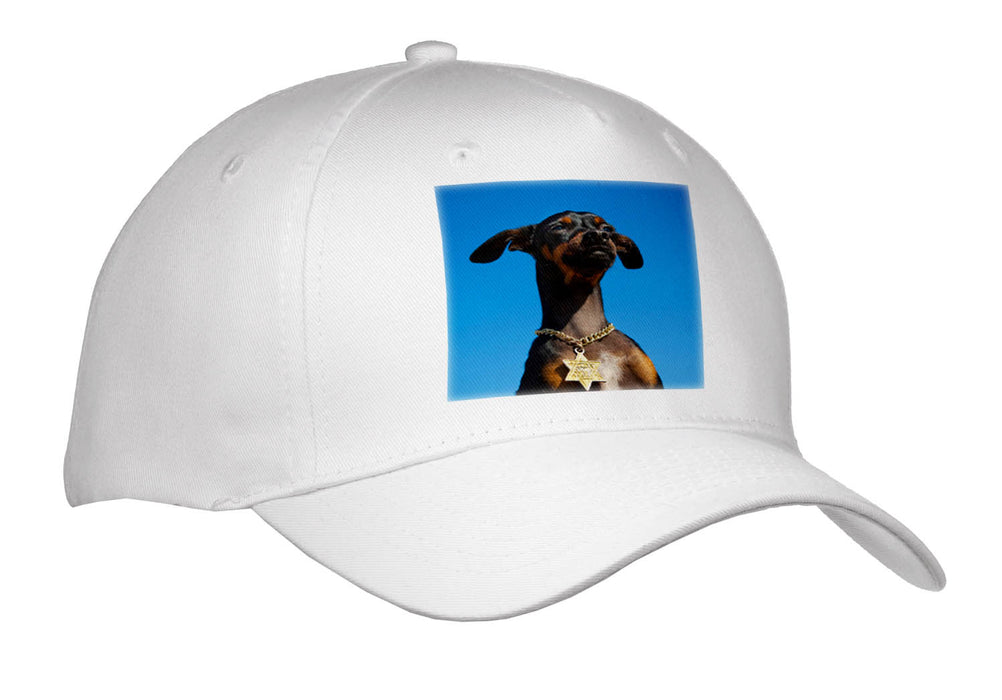 image of Youth Baseball Cap