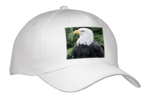 image of Adult Baseball Cap