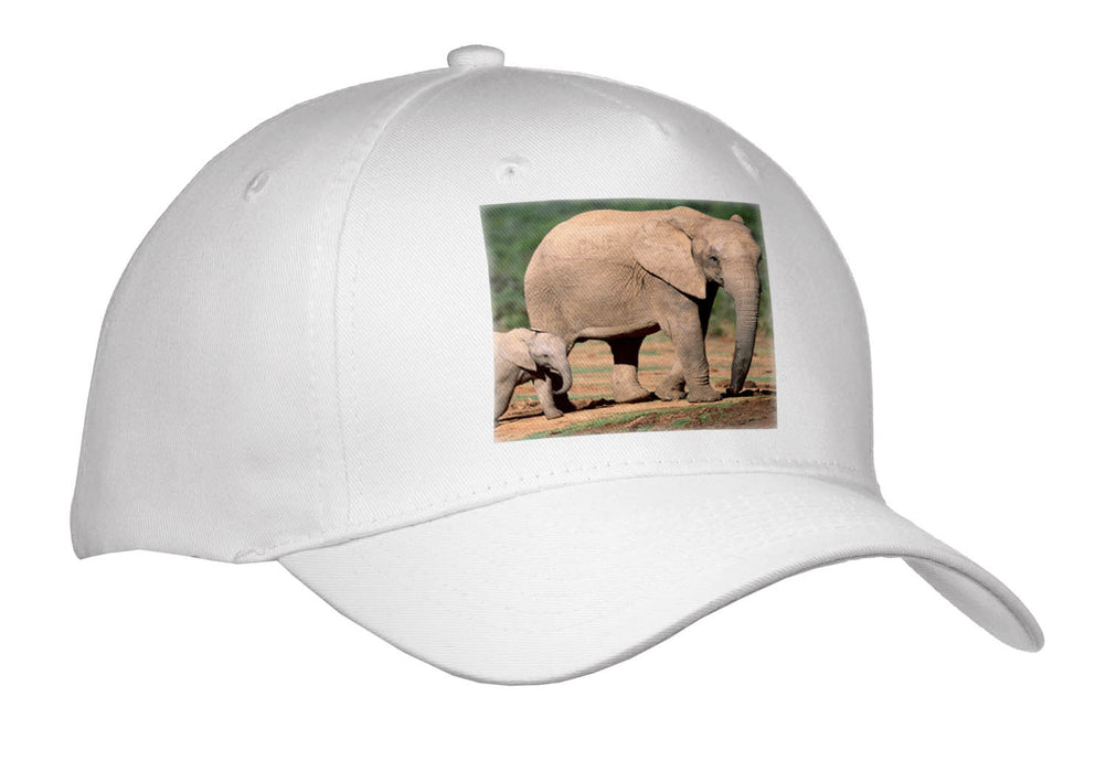 image of Youth Baseball Cap