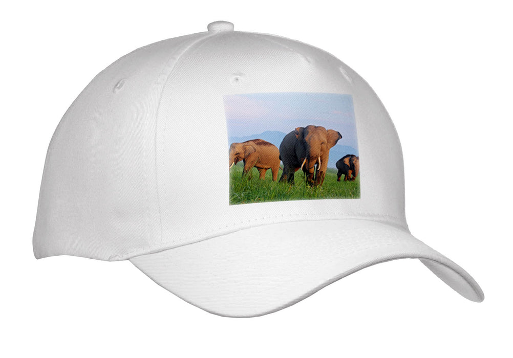 image of Youth Baseball Cap