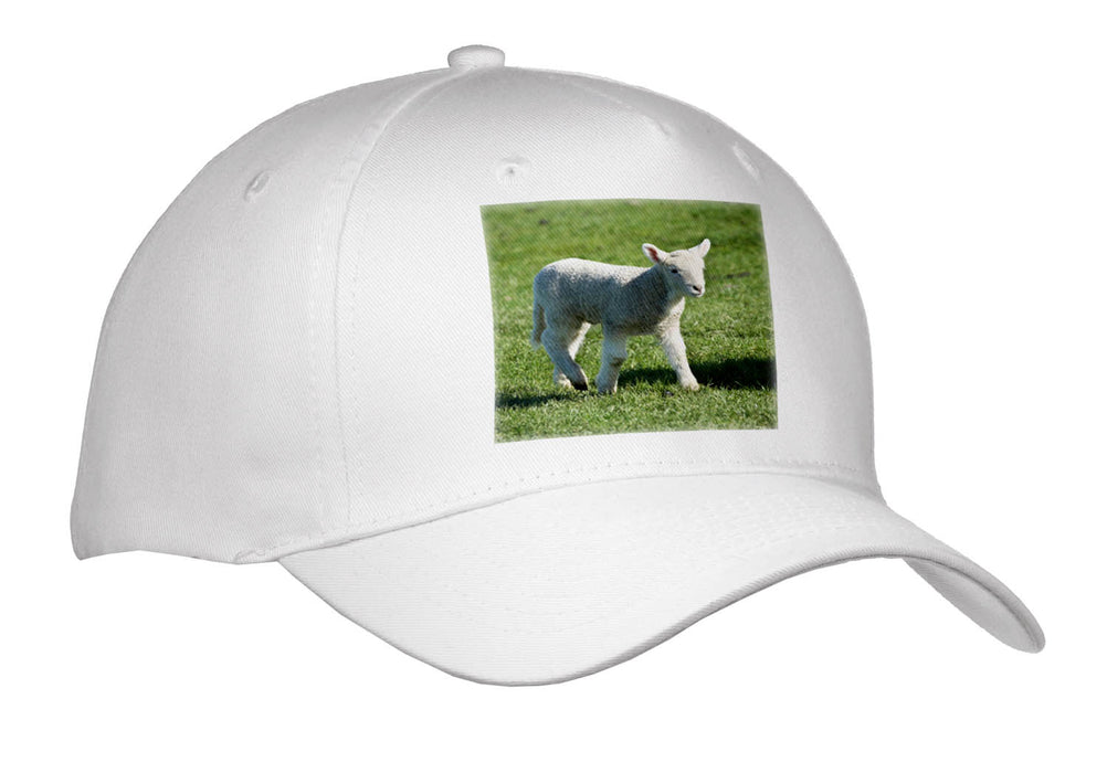 image of Adult Baseball Cap