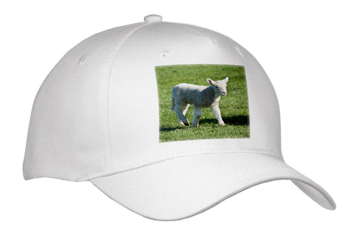 image of Adult Baseball Cap