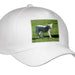 image of Adult Baseball Cap