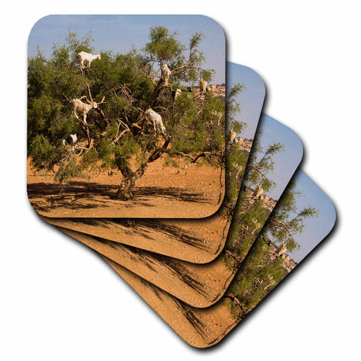 image of set of 4 Coasters - Soft