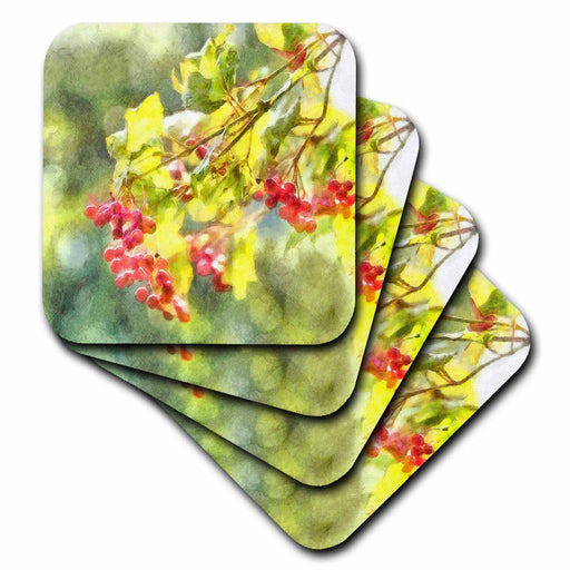 image of set of 4 Coasters - Soft