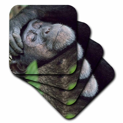 image of set of 4 Coasters - Soft