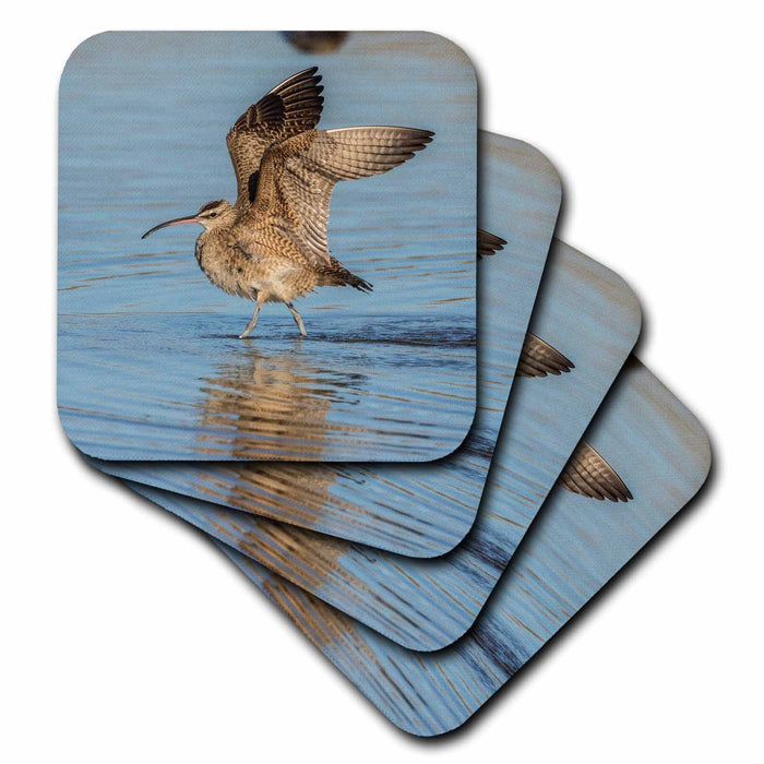 image of set of 4 Coasters - Soft