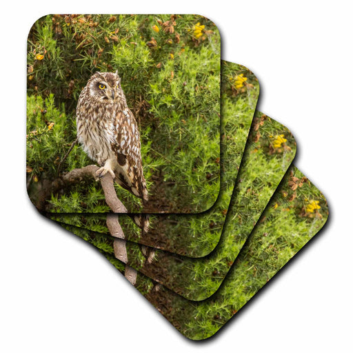 image of set of 4 Coasters - Soft