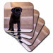 image of set of 8 Ceramic Tile Coasters