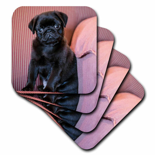 image of set of 4 Coasters - Soft