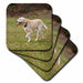 image of set of 4 Ceramic Tile Coasters