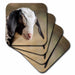 image of set of 8 Ceramic Tile Coasters