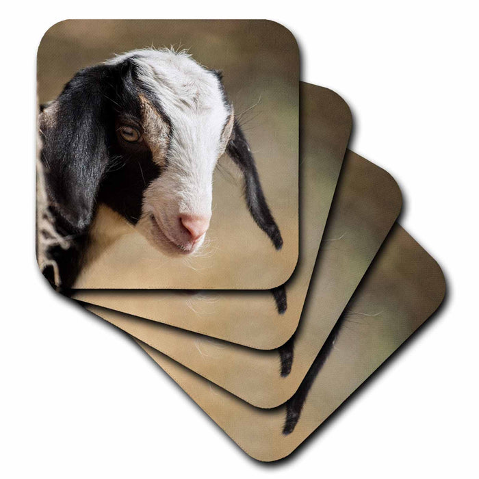 image of set of 4 Coasters - Soft