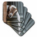 image of set of 8 Ceramic Tile Coasters