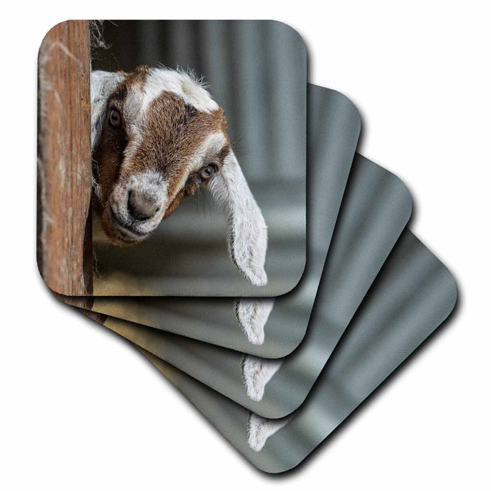 image of set of 4 Coasters - Soft