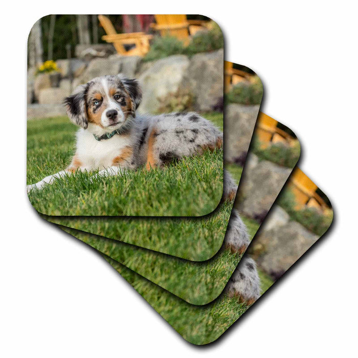 image of set of 8 Coasters - Soft