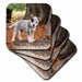 image of set of 8 Coasters - Soft