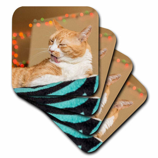 image of set of 4 Coasters - Soft