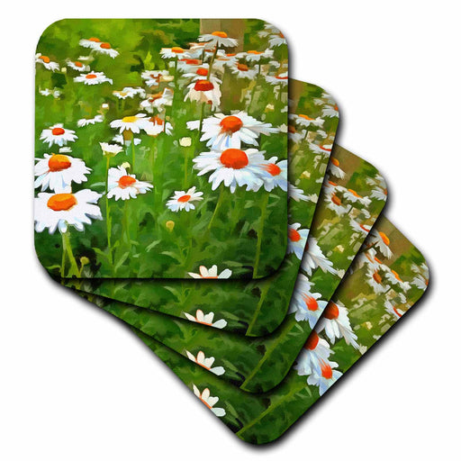 image of set of 4 Coasters - Soft