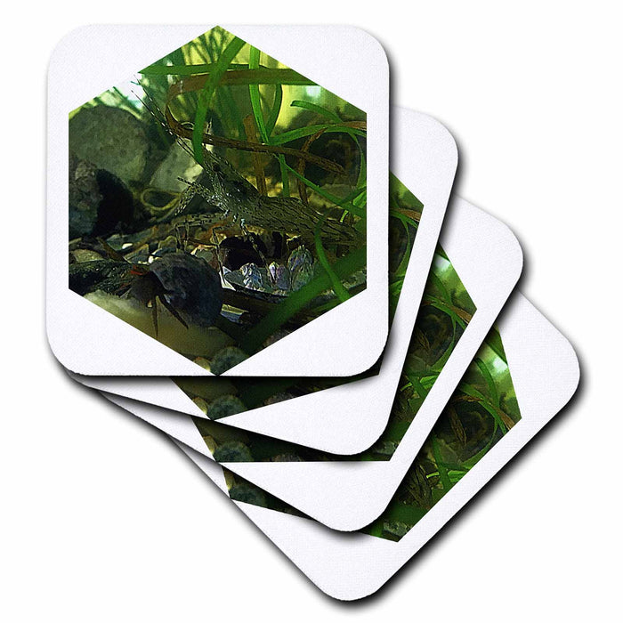 image of set of 4 Ceramic Tile Coasters