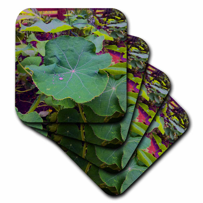 image of set of 4 Ceramic Tile Coasters