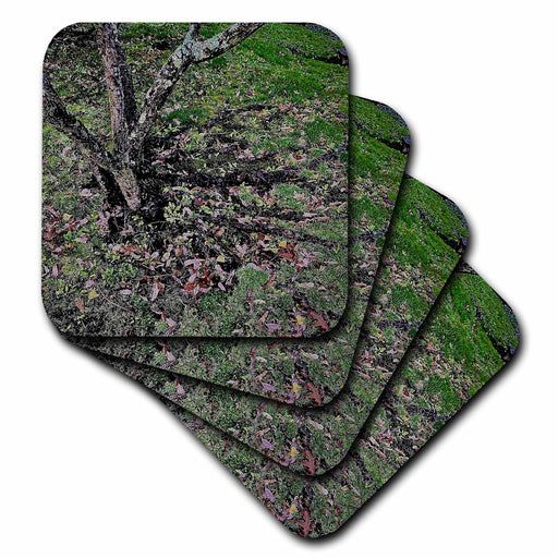 image of set of 4 Coasters - Soft