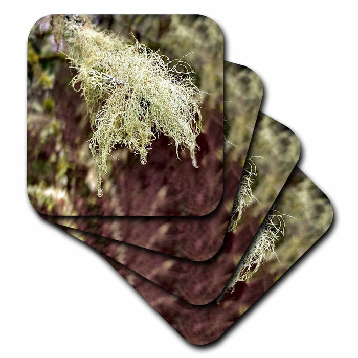 image of set of 8 Coasters - Soft