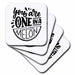 image of set of 8 Coasters - Soft