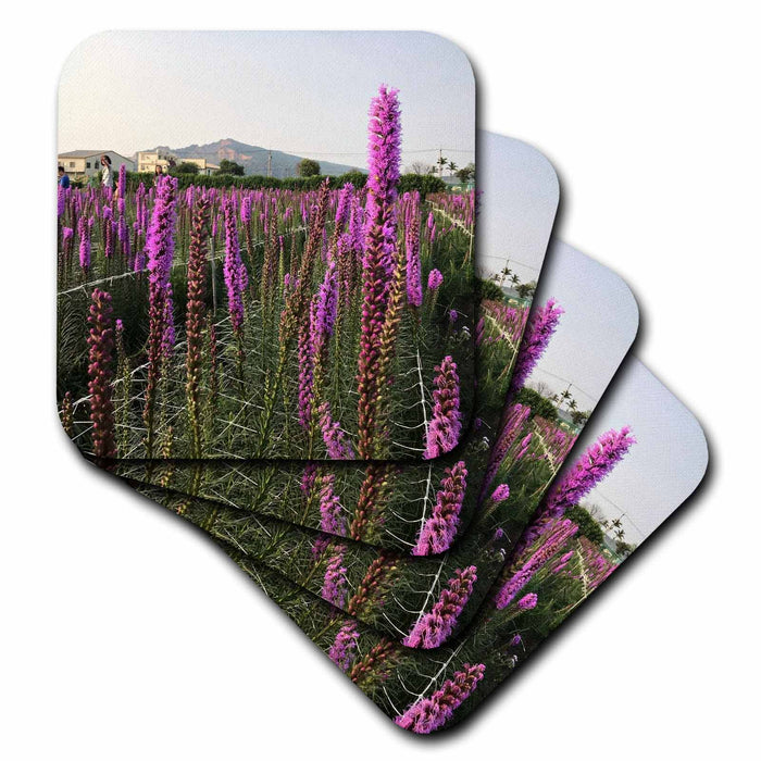 image of set of 8 Coasters - Soft