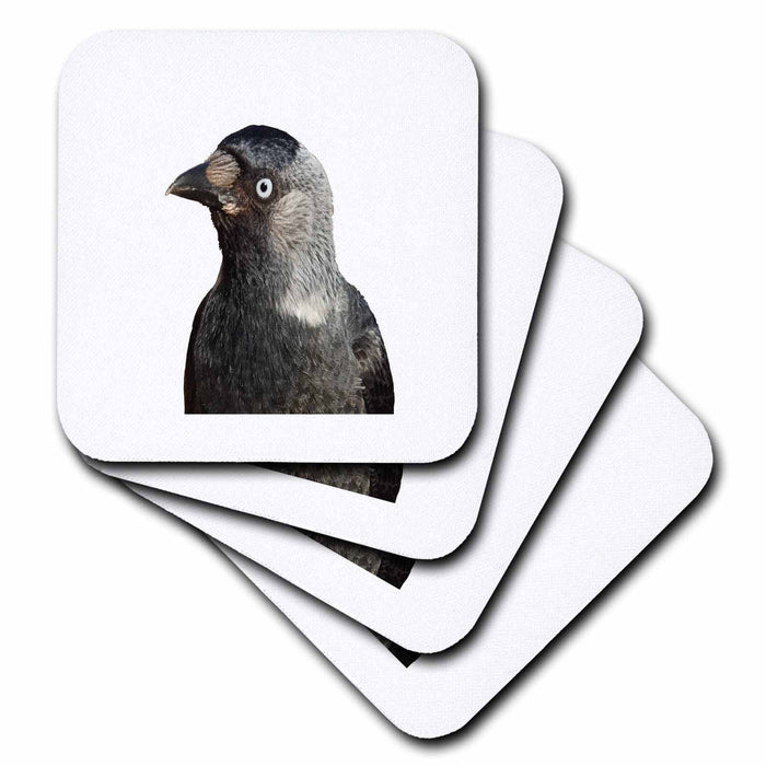 image of set of 8 Coasters - Soft