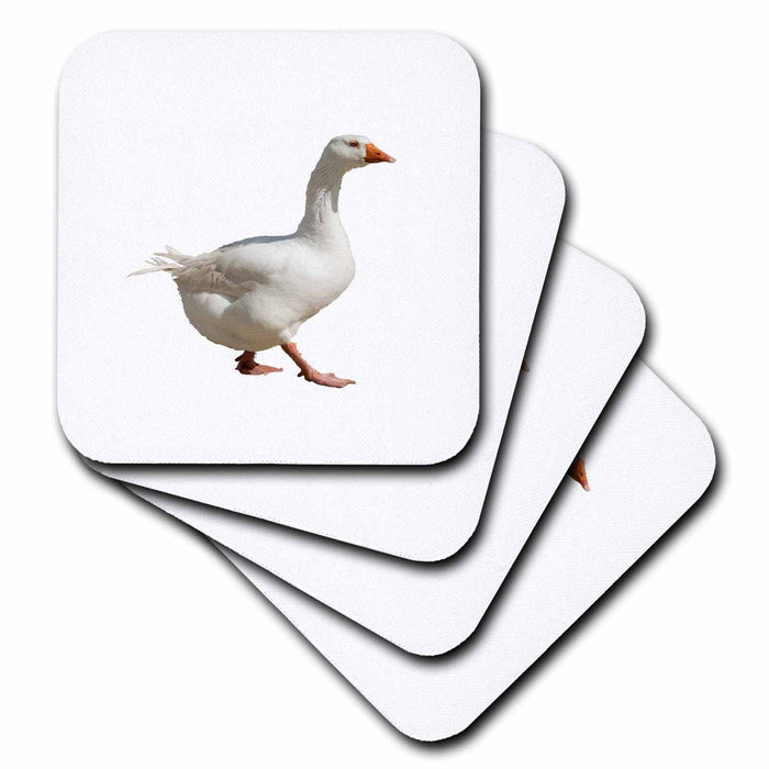 image of set of 4 Coasters - Soft