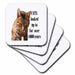 image of set of 4 Ceramic Tile Coasters