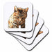 image of set of 8 Ceramic Tile Coasters