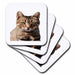 image of set of 4 Ceramic Tile Coasters