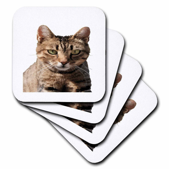 image of set of 8 Coasters - Soft