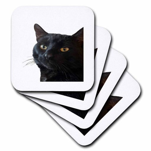 image of set of 4 Coasters - Soft