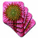 image of set of 4 Coasters - Soft