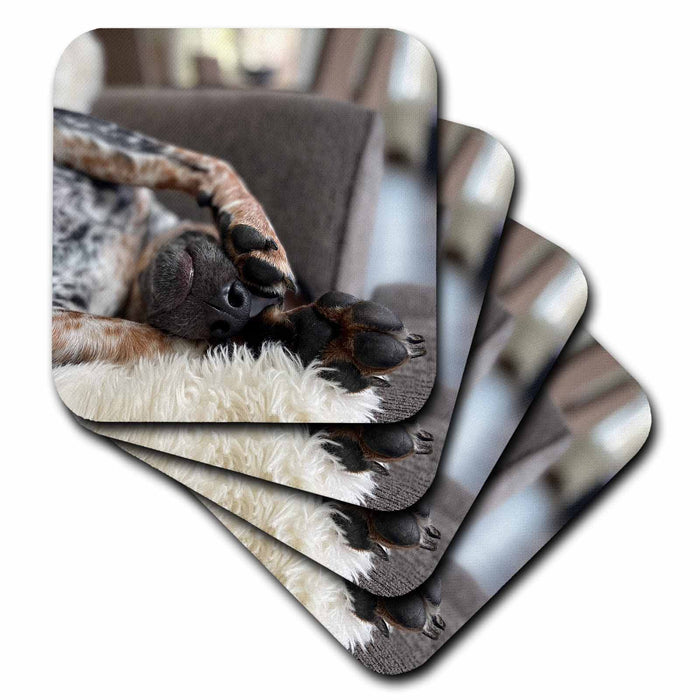 image of set of 4 Coasters - Soft